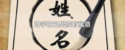 ​珅字取名男孩有寓意