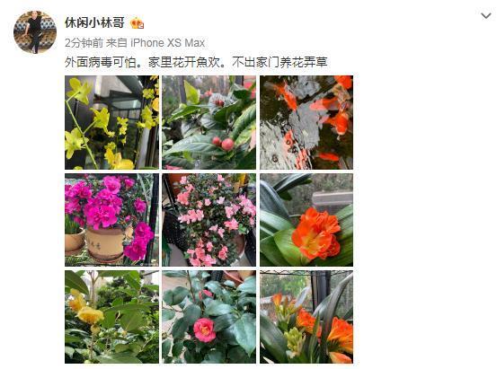 杨幂爸爸再晒豪华庭院像植物园，吐槽女儿能吃不忘透露她变瘦原因