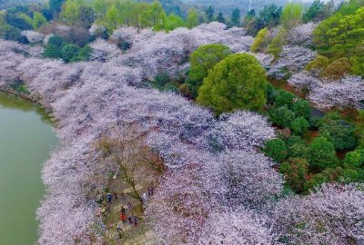 ​湖南省森林植物园，环境优美，森林覆盖率高，是一个休闲的好地方