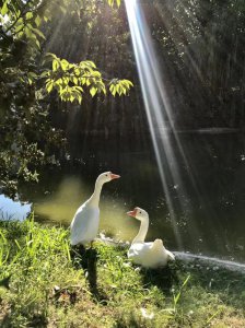 ​生活中的美好瞬间图片 生活中的美好瞬间图片卡通