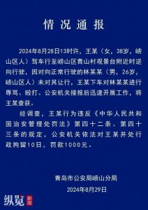 ​“路虎女司机逆行打人”事件双方已和解？官方：不要轻信网传言论