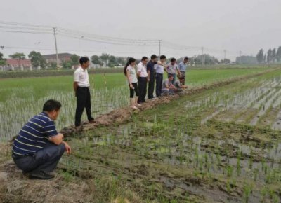 ​农村土地分田到户，是从什么年代开始的？