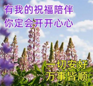 ​秋天里的六个杨子在微信悄然回信