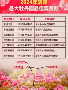 2024洛阳第41届洛阳牡丹节赏花攻略