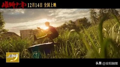 12月不能错过的电影