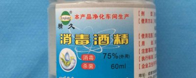 酒精和二氧化碳混合 酒精和二氧化碳反应吗