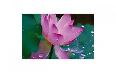 退休之后:让自己幸福的8件小事