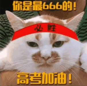 《二进制恋爱》庄达菲任宥纶上演学霸式恋爱,网友:看完我酸了!