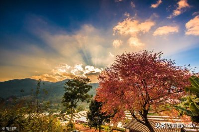 《九零空间之福女》 种田文 重生 甜文