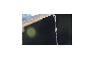 男性叶酸摄入:一天一粒对健康有何好处?