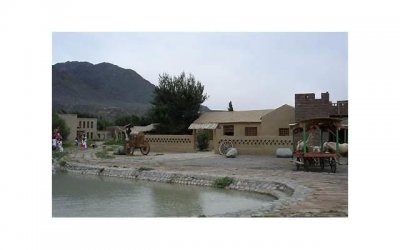 爱情长不过一生,短不过相遇一场