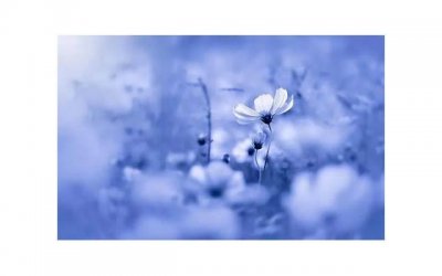 男女的性欲有什么不同 男女性欲有哪些不同表现