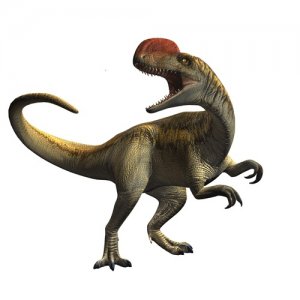 单脊龙:一种令人惊叹的远古捕猎者