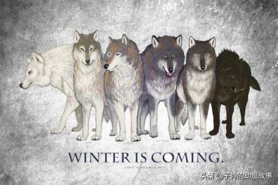 《权利的游戏》:史塔克家族六只冰原狼的命运结局
