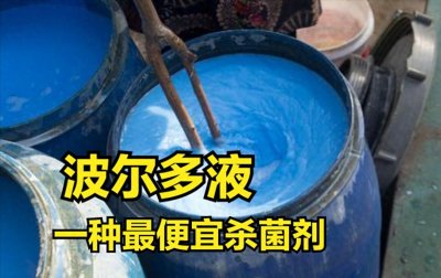 农民使用杀菌剂,为啥偏爱“波尔多液”?不只是因为便宜