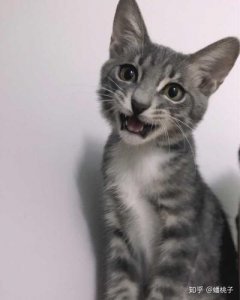 王璐丹图片,王璐演过的电视剧(王璐是哪部电视剧)