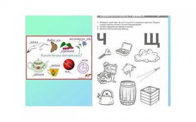 南瓜的作用和功效有哪些 南瓜相克的食物有哪些