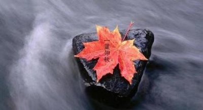 张伦硕和钟丽缇现状(钟丽缇和张伦硕感情变了)