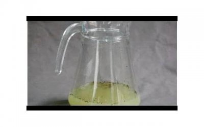 属羊的和什么属相最配(属羊的和什么属相最配最旺财)