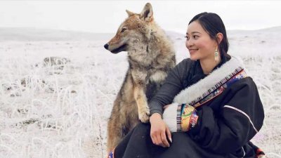 “中国第一狼女”李微漪:12年前养狼当“儿子”,结局催人泪下