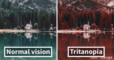 实拍:色盲眼中的世界,不像正常人一样丰富多彩,他们眼中的世界