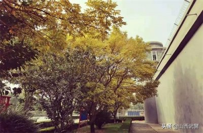 退伍季|军旅生涯 无畏亦无悔