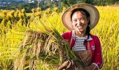 三农问题的重要性及应对措施